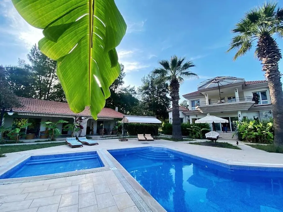 Sunyear Jacuzzi Winter Lodge Urla